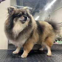 Фото работ Елизавета