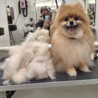 Фото работ Галина