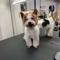 Фото работ Мария