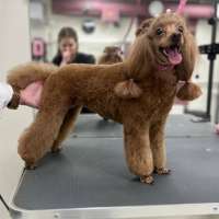 Фото работ Ирина С.