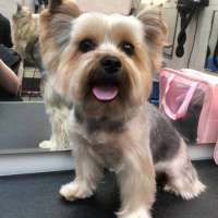 Фото работ Ольга Л