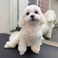 Фото работ Елизавета