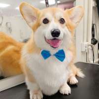 Фото работ Елена И.