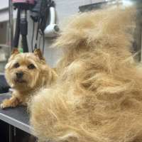 Фото работ Александра