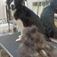 Фото работ Александра