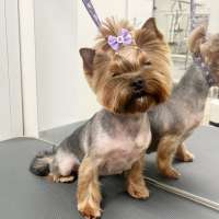 Фото работ Ирина С.