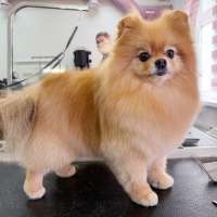 Фото работ Елизавета