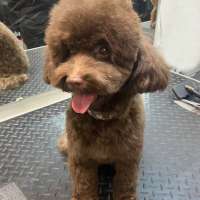 Фото работ Анна