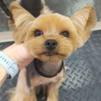 Фото работ Елена