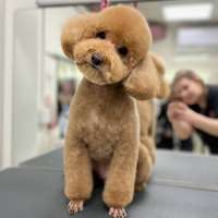 Фото работ Ирина С.