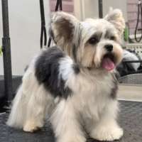 Фото работ Ксения