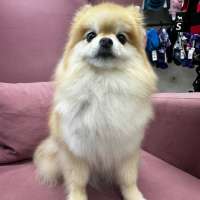 Фото работ Светлана М.