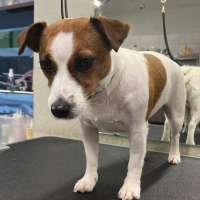 Фото работ Милана