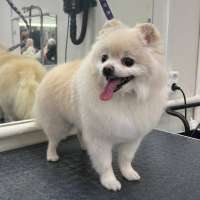 Фото работ Олеся С