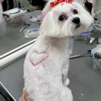 Фото работ Эльза