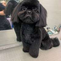 Фото работ Анна К.