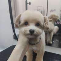 Фото работ Елена