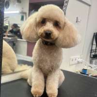 Фото работ Олеся С