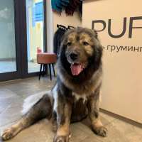 Фото работ Елизавета